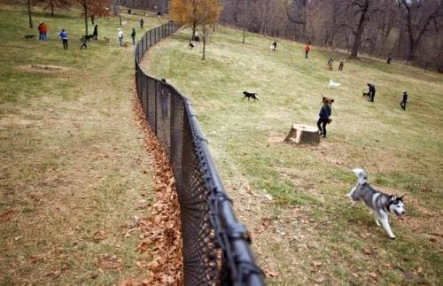 Hanscom Dog Park photo 1